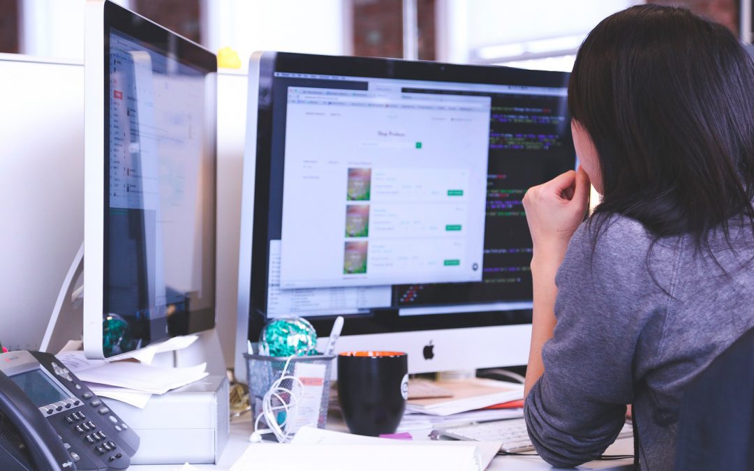 Analista Programador .NET